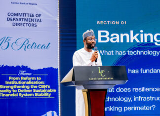 Nigeria Needs Digital Stability to Guarantee Financial Stability – NITDA DG
