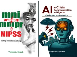 The Memoir on NIPSS, NIPR and an AI Study That Outlived Institutional Setbacks, By Kabir Abdulsalam